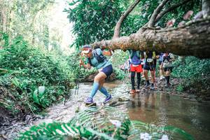 BIB: 
                            <button type="button" onclick="openModal(25475449)" class="btn btn-primary btn-sm float-right btn-popup" data-toggle="modal" data-target=".modal-high-quality">
                        <i class="fas fa-shopping-cart"></i> Add to Cart
                    </button>
                                            <button type="button" onclick="isThisMe(25475449, true)" class="btn btn-success btn-sm float-right btn-popup btn-isme hidden" data-toggle="tooltip" data-placement="bottom" title="นี่คือรูปของคุณใช่ไหม คลิกที่นี่เพื่อเอาเข้าอัลบั้ม">
                        <i class="fas fa-plus"></i> Add to album
                    </button>
                    <button type="button" onclick="isThisMe(25475449, false)" class="btn btn-warning btn-sm float-right btn-popup btn-isnotme hidden">
                        <i class="fas fa-ban"></i> Remove from album
                    </button>